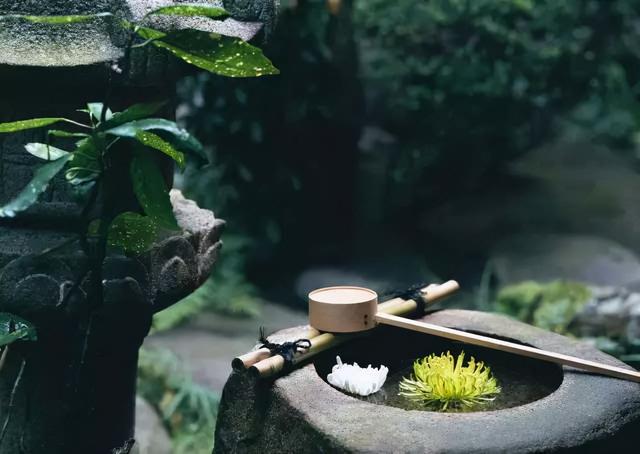 茶禅静心句子,茶禅静心句子十六字令(五首古诗词,遇见茶与禅)