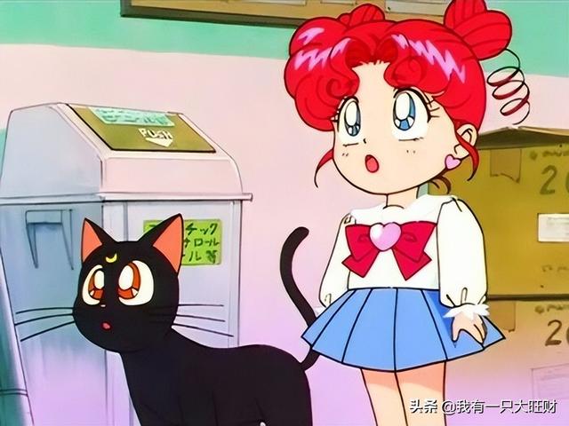 小小兔和小兔是啥关系，小兔子是什么（《美少女战士》官配小卫对小兔）