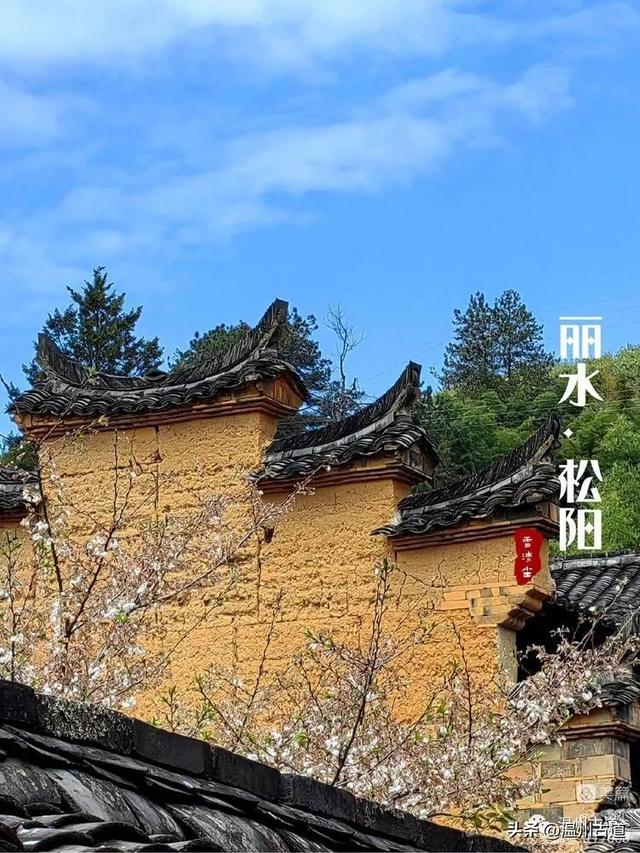 松阳县旅游景点，古韵松阳——江南最后的秘境