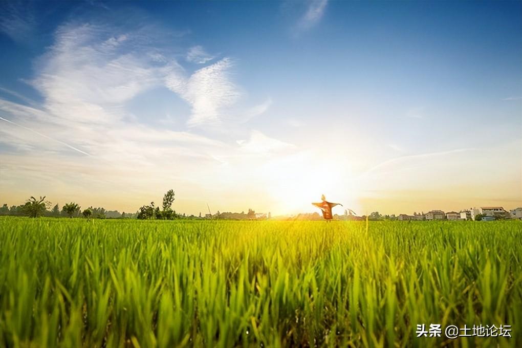 好的投资项目有哪些（投资项目好做的8个方向解析）