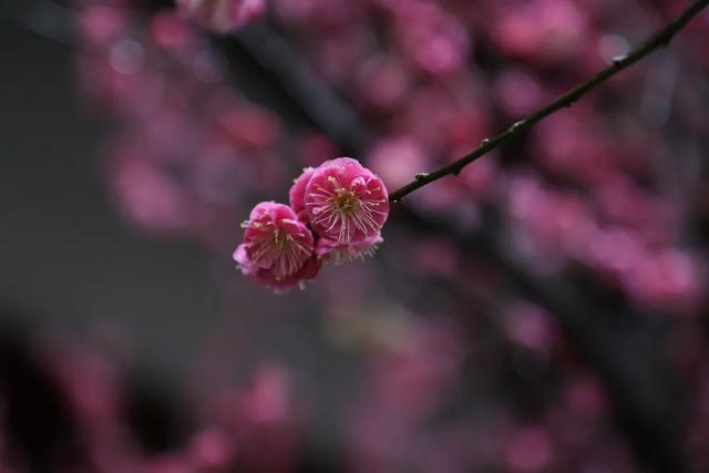 普陀山旅游攻略最新，普陀山旅游攻略2021（期待与你在普陀山朱家尖的邂逅~）