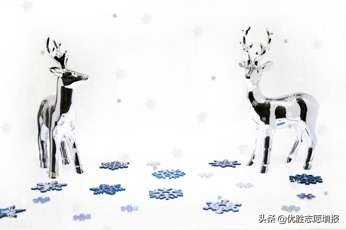 学校的营养午餐作文（2021年中考满分作文欣赏）