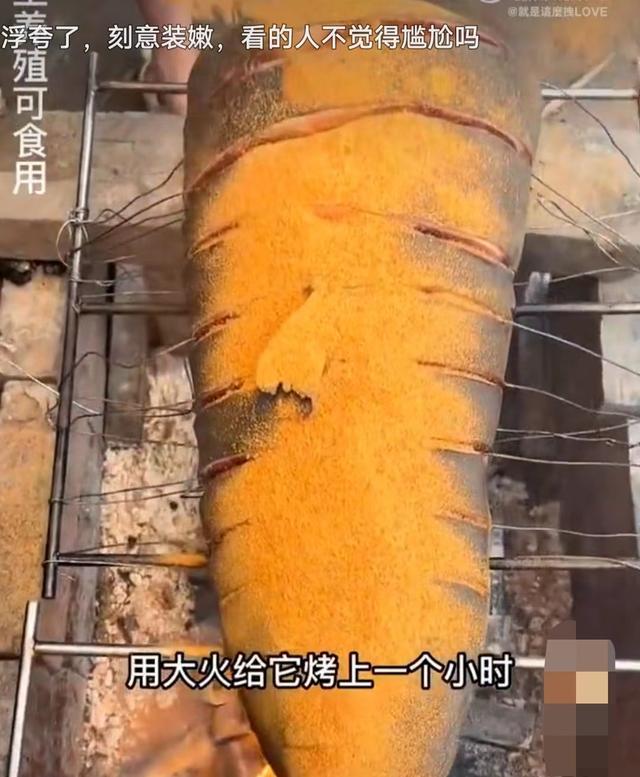 肥肥鲨，微信头像，肥肥鲨（被指吃相难看像恐怖片）