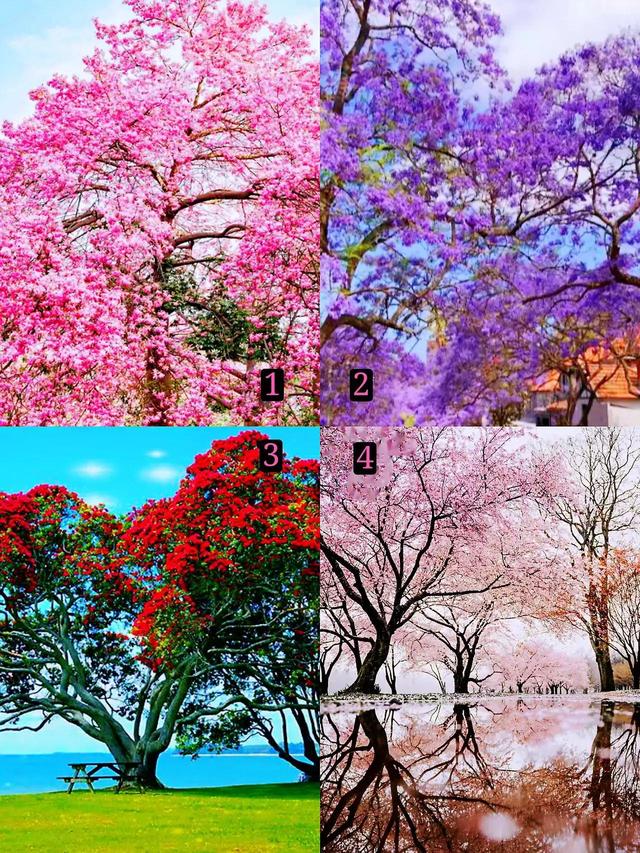 穿黑色衣服代表什么意思，黑色衣服代表什么象征意义（喜欢穿什么颜色的衣服和性格有关系）