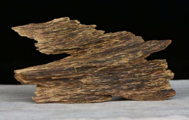 2,沉香数万元一斤,我国依靠进口,为何农民不去种植?