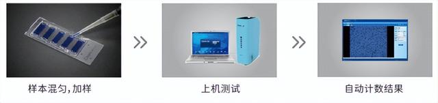 死亡细胞2细胞怎么过，死亡细胞二细胞（小嗅找找丨怎么进行细胞计数）