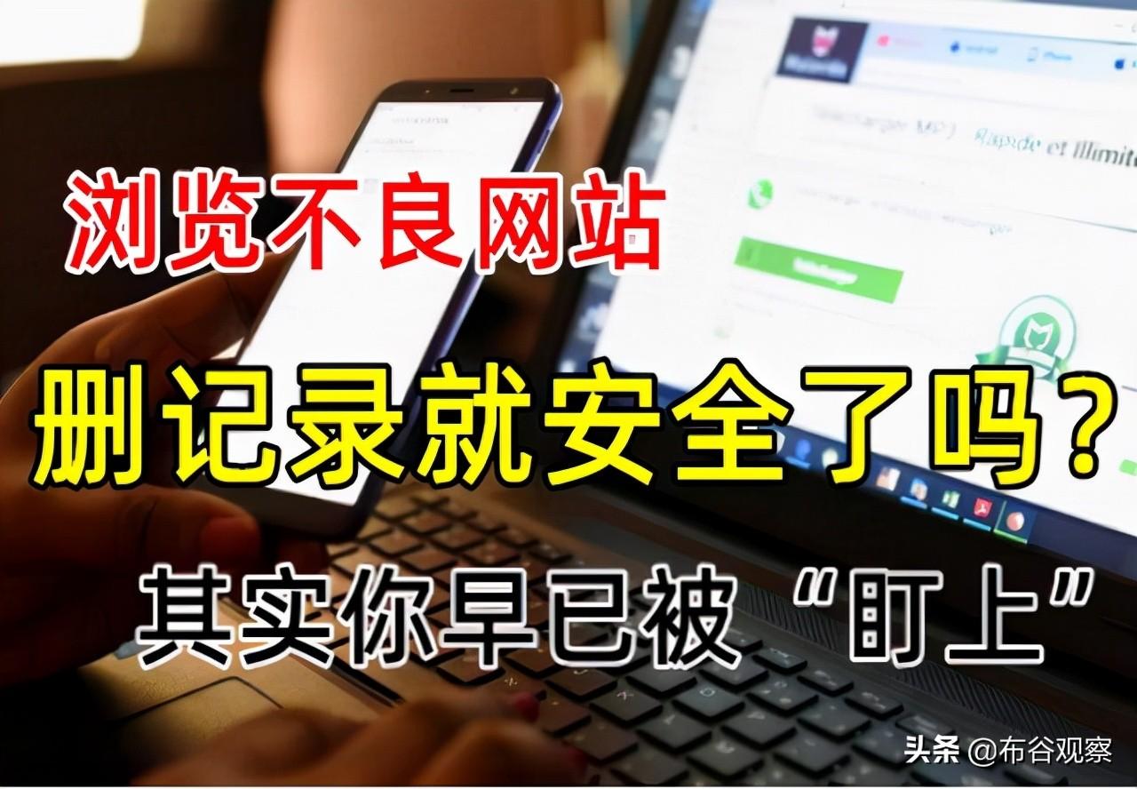 钓鱼网站伪装正规平台诱骗用户，窃取隐私与财产，危害远超浏览不良网站，需高度警惕防范。