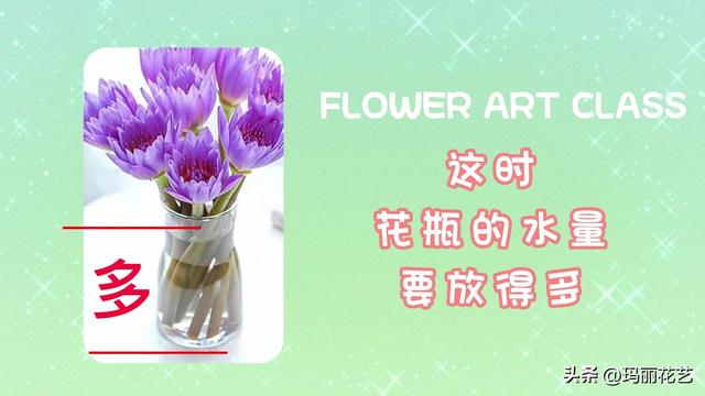 鲜花怎么醒花方法，醒花与不醒花的区别（鲜花睡莲怎么醒花）