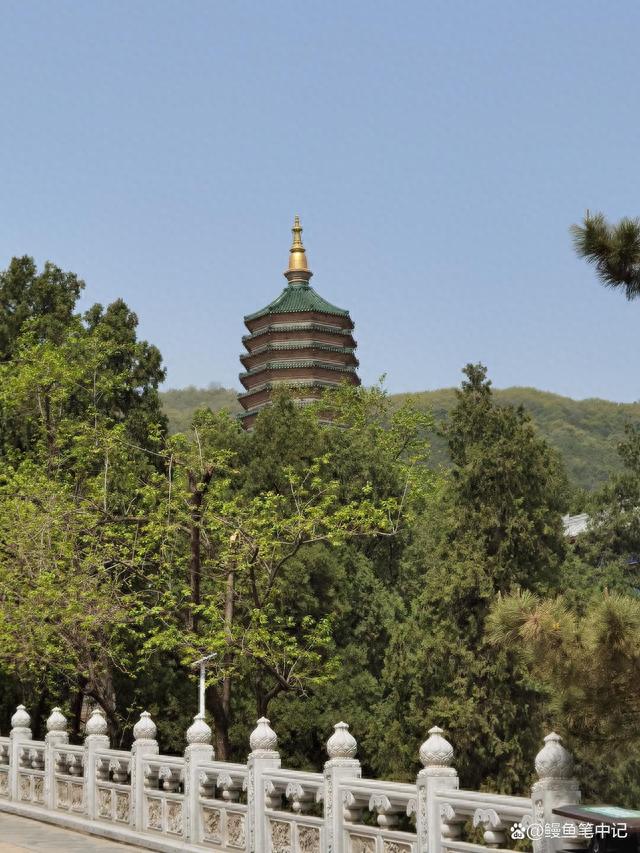 抓住人间四月天——佛牙舍利参拜小指南