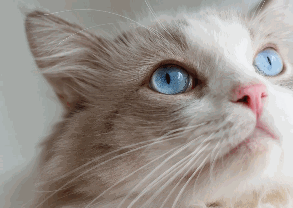 怎样清理电脑c盘垃圾，电脑如何清理c盘的垃圾（简单几招教你彻底清理C盘空间）