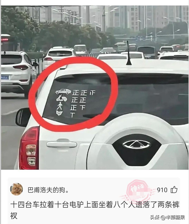 第一次坐飞机的来看看，临时身份证如何登机（你第一次坐飞机是什么体验）