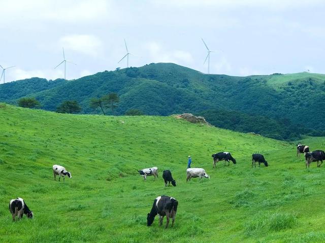 瑞金市旅游景点，江西瑞金市旅游景点排名（江西赣州值得推荐的18个旅游景点）