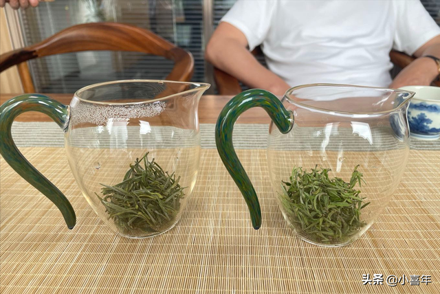 黄山毛尖是属于什么茶_婺源盛产什么茶，黄山毛尖是什么绿茶（毛峰和毛尖的6大区别）