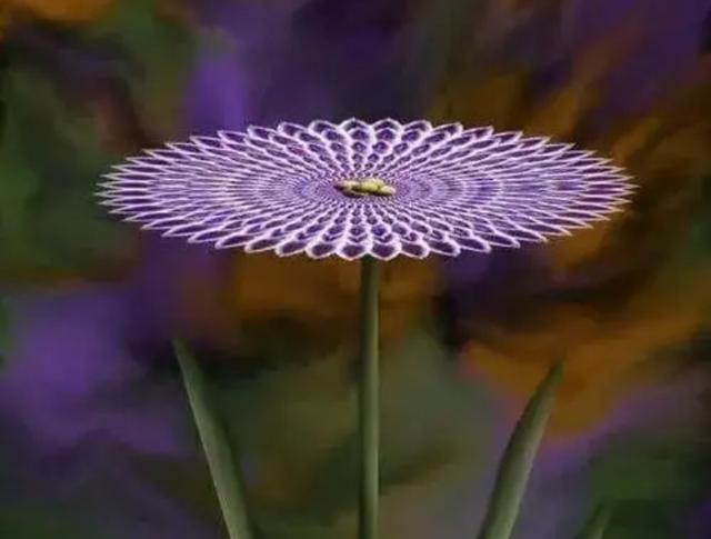 山海经里好听的植物名，山海经里好听的名字（山海经里好听的名字）