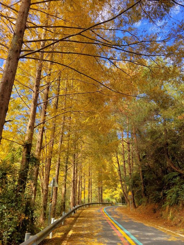 安远三百山，安远三百山温泉度假村（被誉为“武功山第二”）