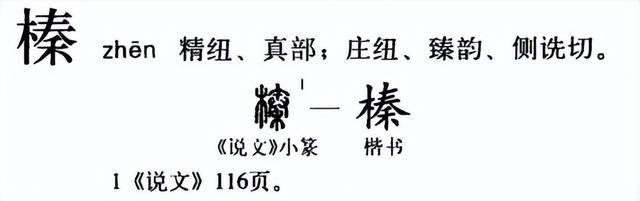 榛子是怎么读的，榛子是怎么读的拼音（榛子怎么读？榛子的读音和意思）