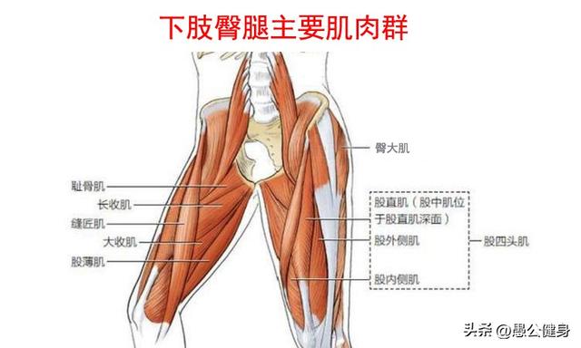 原地快速高抬腿动作方法，高抬腿的正确动作能锻炼哪里的肌肉