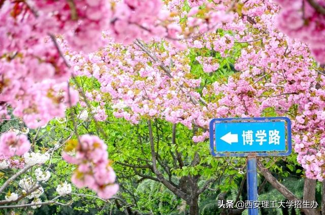 西安理工大学曲江校区，西安理工大学有几个校区及校区地址（西安理工大学2022年本科招生章程）