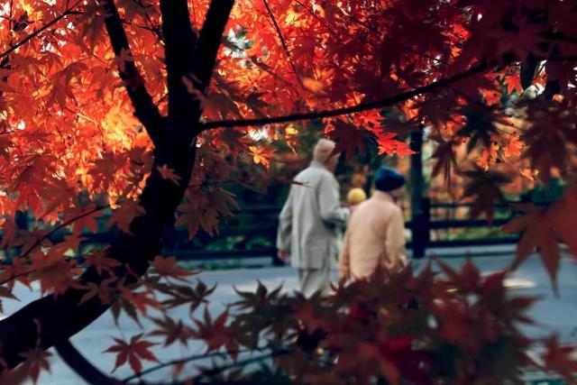 普陀山旅游攻略最新，普陀山旅游攻略2021（期待与你在普陀山朱家尖的邂逅~）