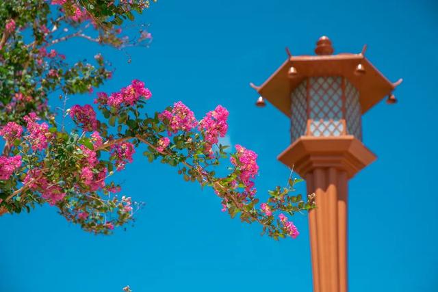 普陀山旅游攻略最新，普陀山旅游攻略2021（期待与你在普陀山朱家尖的邂逅~）