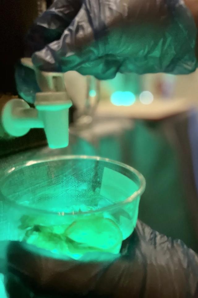 一句话霸气欢迎词，一句话欢迎词口号（三色路啊，就是不夜城）