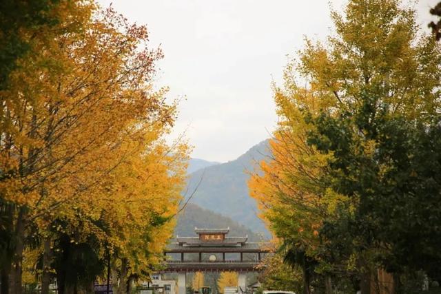 汉中旅游景点排名推荐，汉中旅游景点大全排名榜（在汉中一年四季可以这样玩 →）