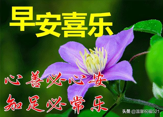 春天问候祝福语大全，春天问候语的祝福语（2022春天最新漂亮早上好问候图片）