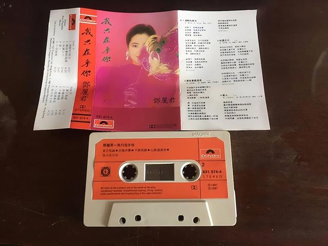 彭佳慧最好听的十首歌，网络歌曲最经典500首（关于她的5首经典歌曲）