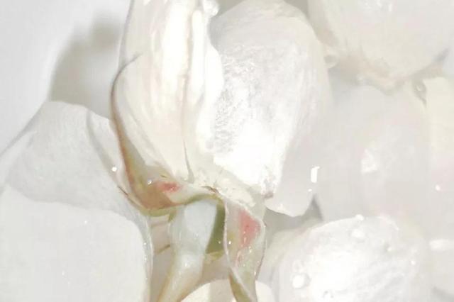 没有版权的音乐，如何下载没有版权的音乐（你要的521高级文案来啦）