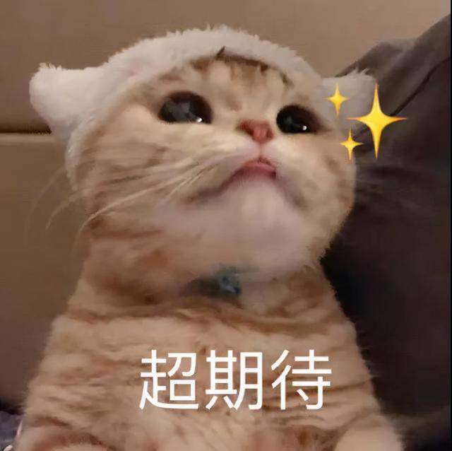 网络用语asmr是什么意思，ASMR是什么意思啊（2021“网络热门护肤词汇”）