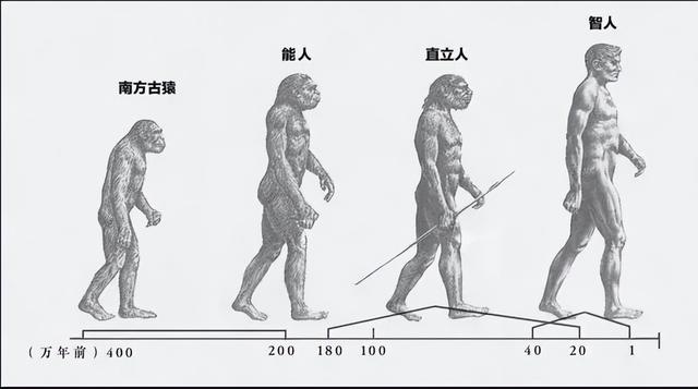 新石器时代代表什么，什么叫新石器时代什么叫旧石器时代（中国疆域历史发展史——旧石器时代-新石器时代）