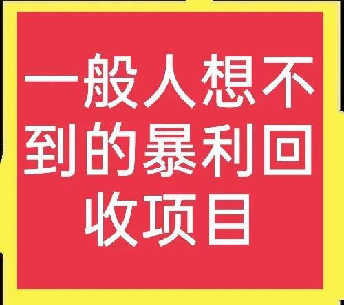 ***赚钱项目有哪些（冷门***赚钱的3大项目解析）