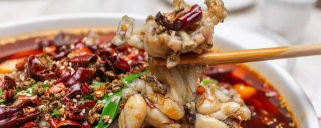 癞蛤蟆是蟾蜍吗，蟾蜍和癞蛤蟆的区别（癞蛤蟆到底有什么用）