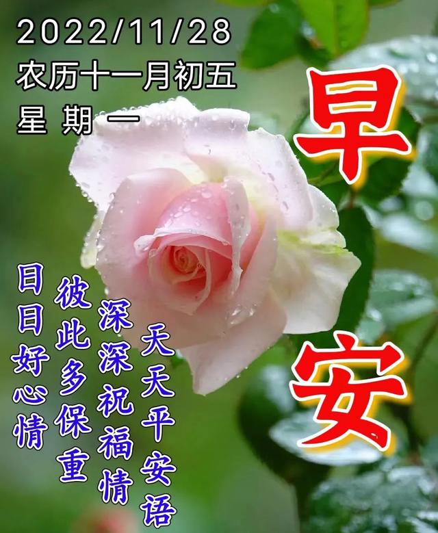 八个字珍惜友情的句子，珍惜友谊的句子八个字（周一愉快，珍重友情，感恩相遇）