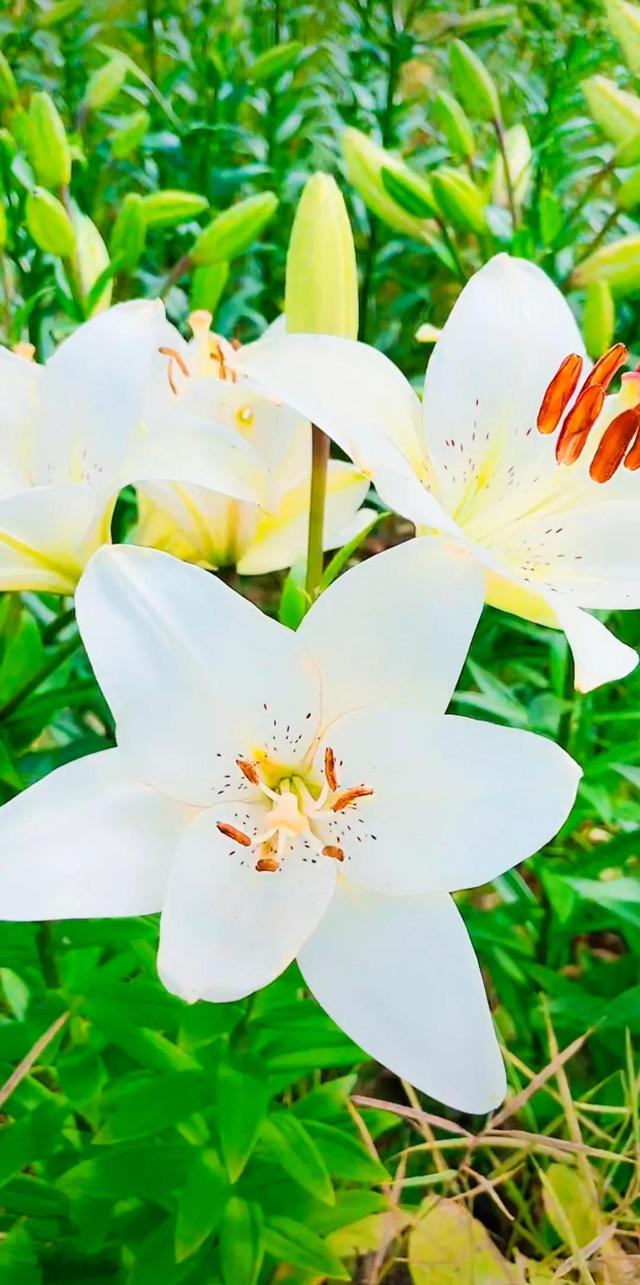 努力的意义是什么，努力的意义是什么图片（女人努力的意义是什么）