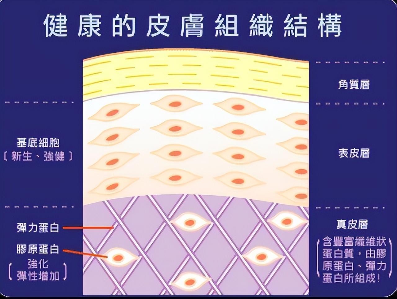 面霜乳液精华使用顺序，乳液 精华 面霜 使用顺序是什么