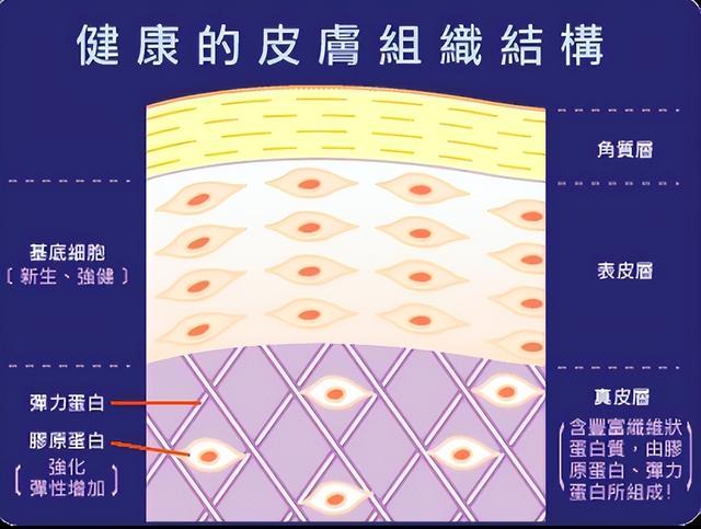 肌底液怎么用才正确方法，水、霜、乳、精华的“使用步骤”