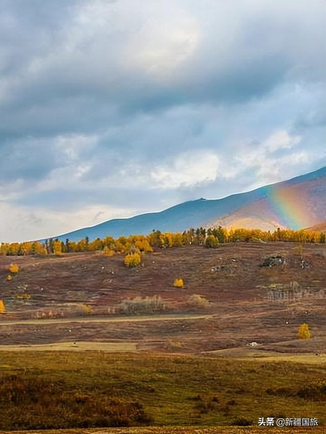 胡天八月即飞雪上一句，胡天八月即飞雪上一句诗句是什么（来这个中国西部最北端的乡小住一个月）