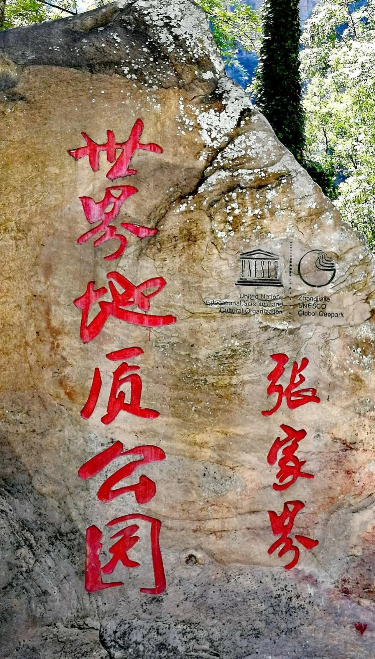 张家界地貌是什么类型（张家界世界地质公园的景观类型）