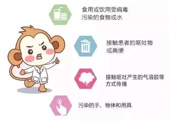 病毒是什么，病毒是什么生殖方式（那究竟是什么驱动它们发生变异的）