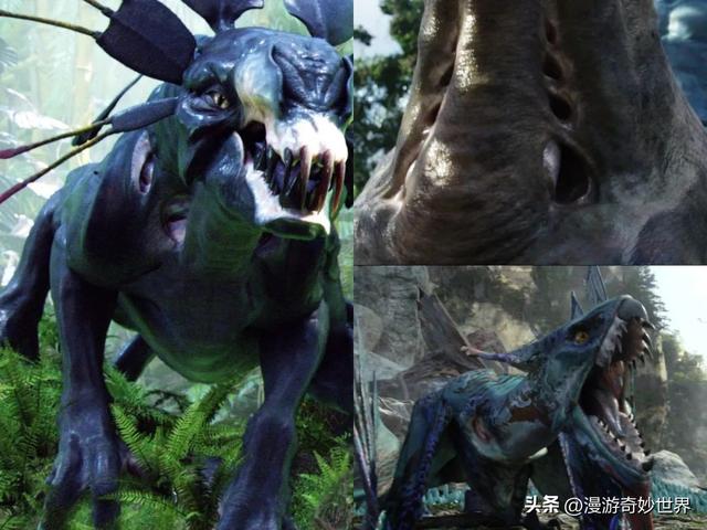 美国国旗上有多少颗星星，美国国旗有多少颗星星（还有这么多你不知道的细节…）