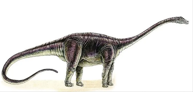 恐龙图片大全大图，画恐龙图片大全大图（画恐龙怎么画）