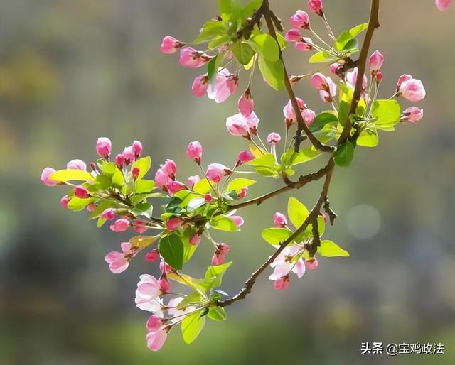 三月初三是什么日子，三月三佛教什么日子（一个被国人渐渐淡忘的节日）