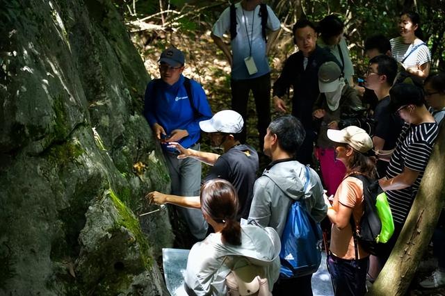 苏堤的由来， 这场山水间的文化体验之旅揭秘不为人知的千年城市历史