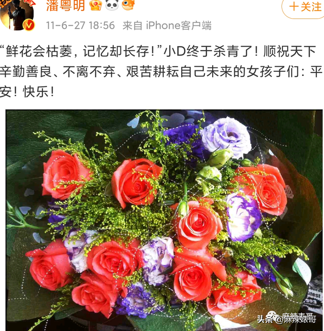 潘粤明年轻时的民国戏，十年前董洁王大治的瓜