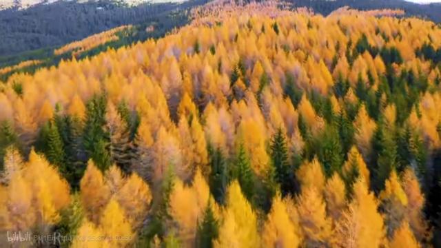 情侣公园约会适合做什么，情侣去公园都做什么（情侣约会可以做的事）