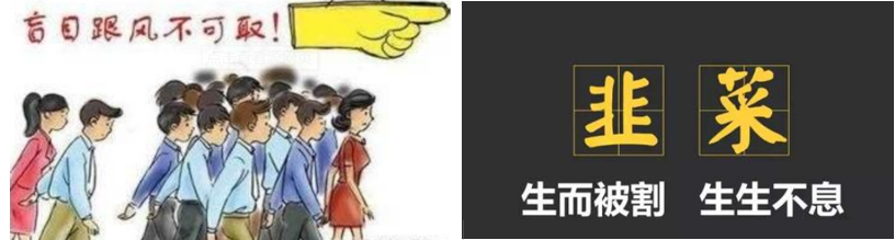 红光实业（如何保护散户）