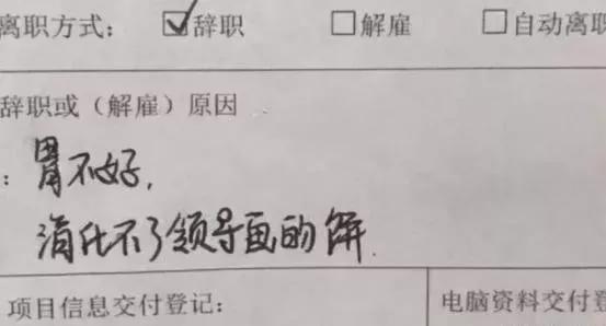 00后是多少岁，00后的人现在一般几岁（00后与职场）