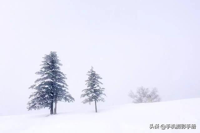 摄影学习的技巧和方法，作为摄影初学者