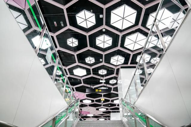 豹龟结石，昆明地铁5号线，首！发！见（肾结石会有啥症状）